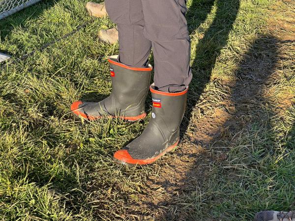 Best choice of footwear .... gumboots or boots