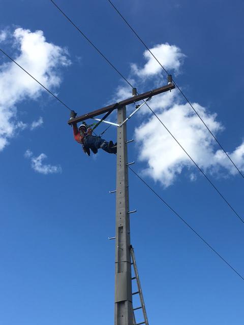 NZI 11kV 250W26 Line Posts, Tarras (Delta)