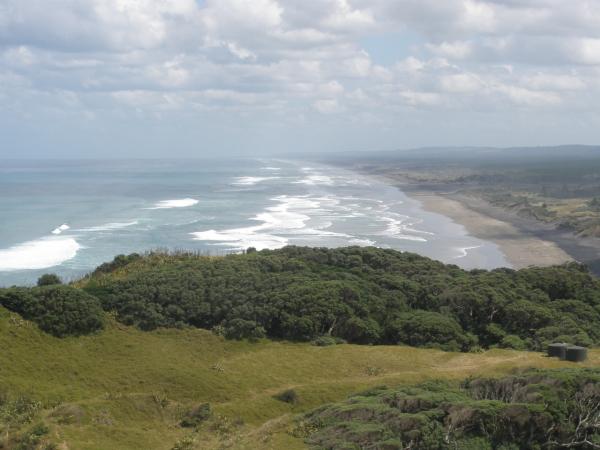 Muriwai (Te One Rangitira) the Chieftan Beach - looking north, 50km to the Kaipara Harbour